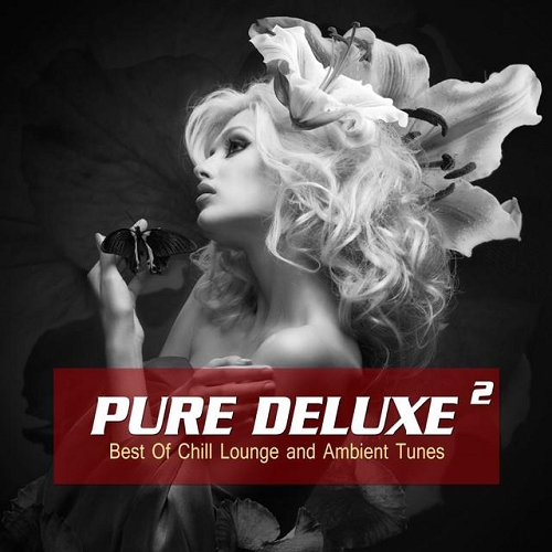 Pure Deluxe Vol 2 Best of Chill Lounge and Ambient Tunes (2014)
