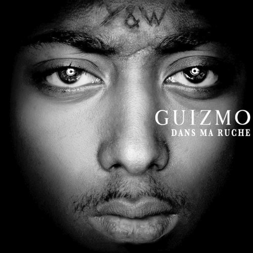 Guizmo - Dans Ma Ruche (Edition Limitee) 2CD