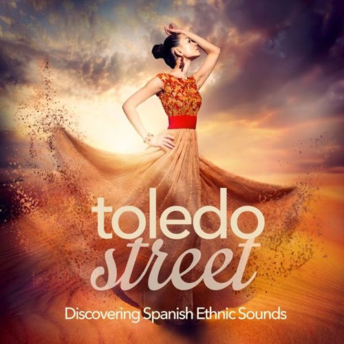 VA - Toledo Street (Discovering Spanish Ethnic Music) (2015)